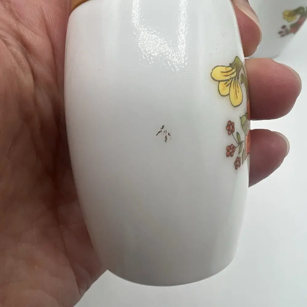 VTG Westinghouse Indian Summer Harvest Milk Glass Salt & Pepper Shakers Gemco